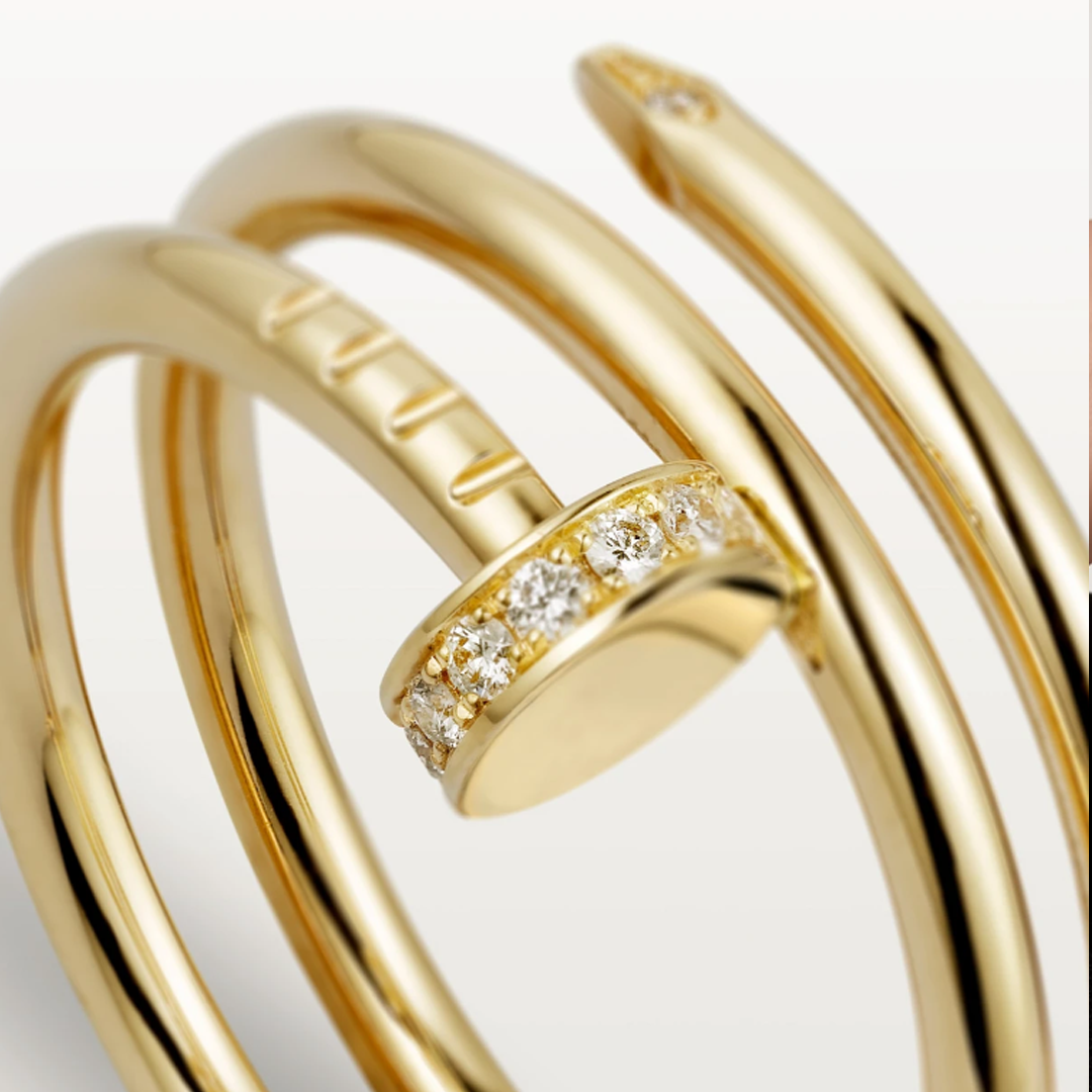 SPIJKER Dubbele Ring